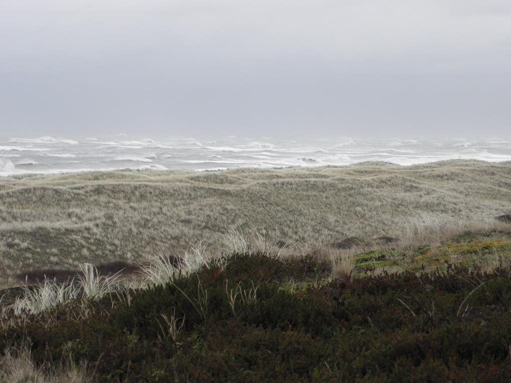 Langeoog - 2013
